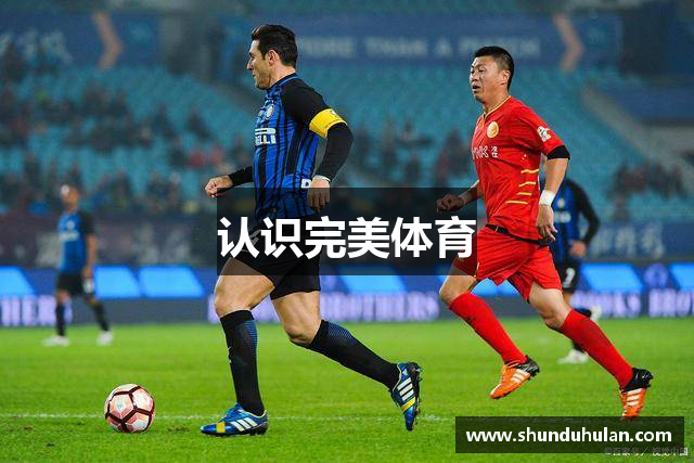 完美.(中国)体育官方网站-365WM SPORTS